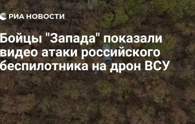 Бойцы "Запада" показали видео атаки российского беспилотника на дрон ВСУ