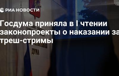 Госдума приняла в I чтении законопроекты о наказании за треш-стримы