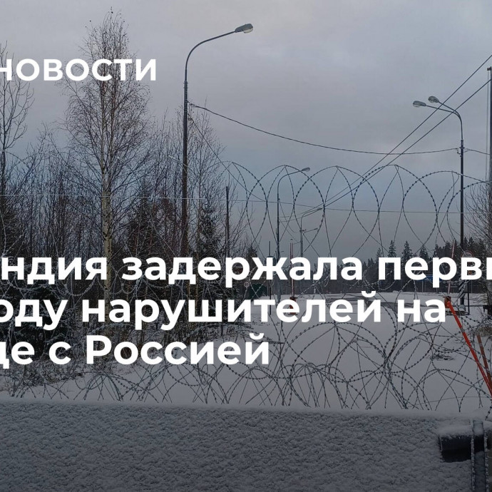 Финляндия задержала первых в этом году нарушителей на границе с Россией