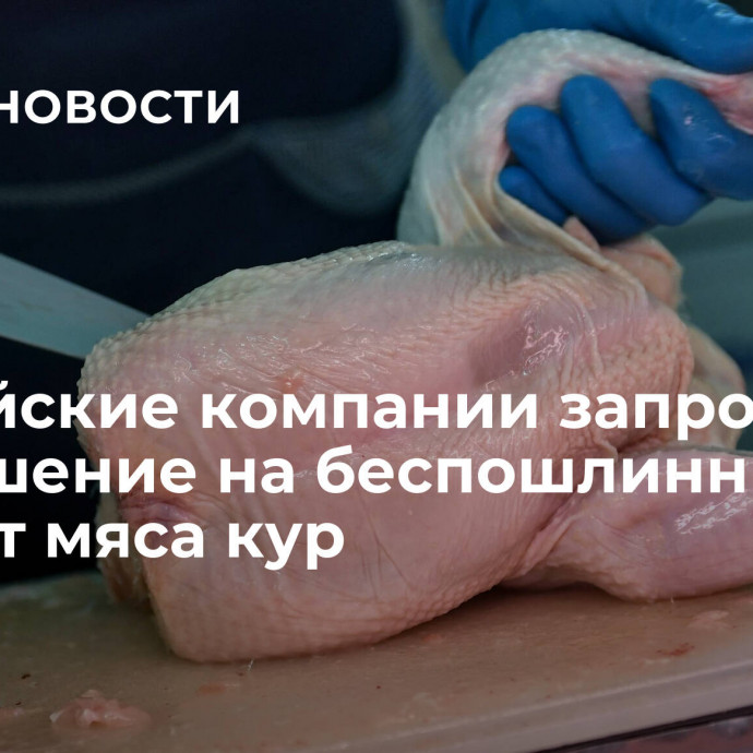 Российские компании запросили разрешение на беспошлинный импорт мяса кур