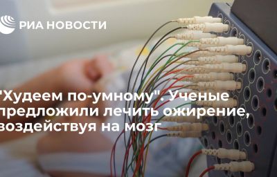 "Худеем по-умному". Ученые предложили лечить ожирение, воздействуя на мозг