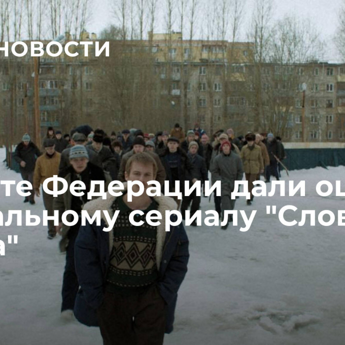 В Совете Федерации дали оценку скандальному сериалу 