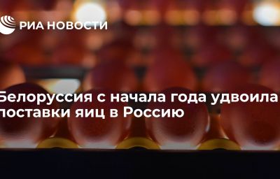 Белоруссия с начала года удвоила поставки яиц в Россию