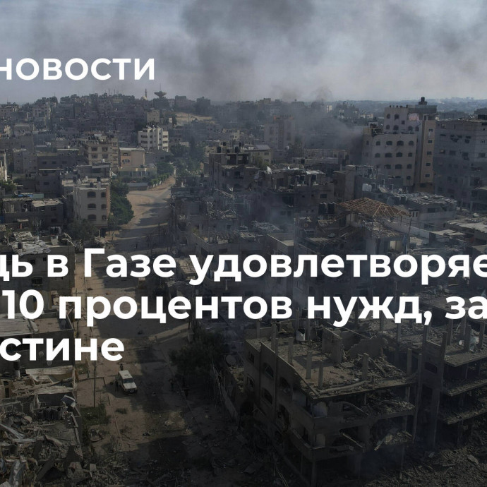 Помощь в Газе удовлетворяет менее 10 процентов нужд, заявили в Палестине