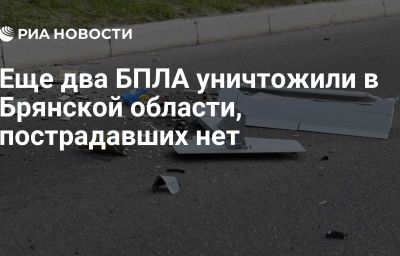 Еще два БПЛА уничтожили в Брянской области, пострадавших нет