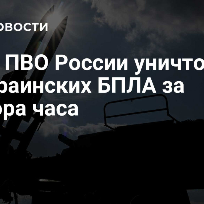 Силы ПВО России уничтожили 17 украинских БПЛА за полтора часа