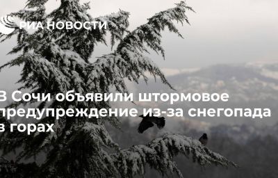 В Сочи объявили штормовое предупреждение из-за снегопада в горах