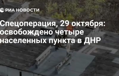 Спецоперация, 29 октября: освобождено четыре населенных пункта в ДНР