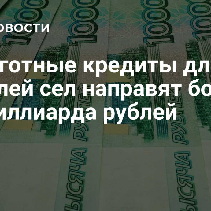 На льготные кредиты для жителей сел направят более 6,8 миллиарда рублей