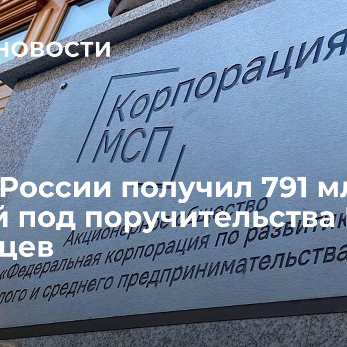 МСБ в России получил 791 млрд рублей под поручительства НГС за 9 месяцев