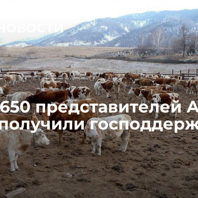 Более 650 представителей АПК на Алтае получили господдержку