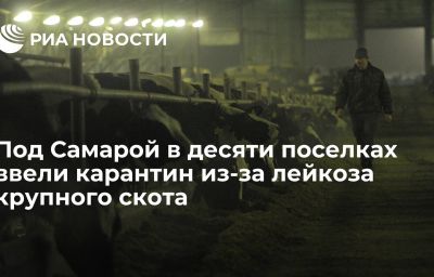 Под Самарой в десяти поселках ввели карантин из-за лейкоза крупного скота