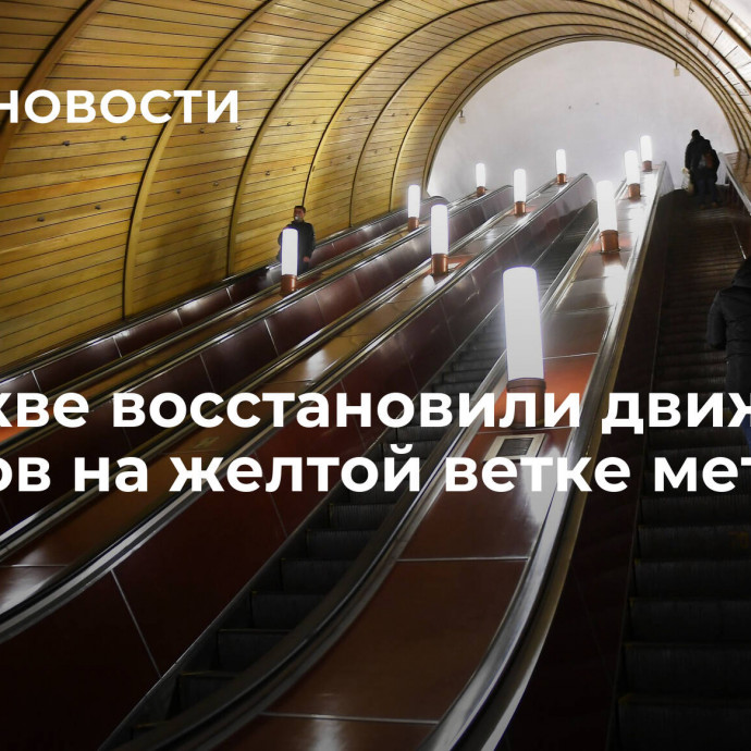 В Москве восстановили движение поездов на желтой ветке метро