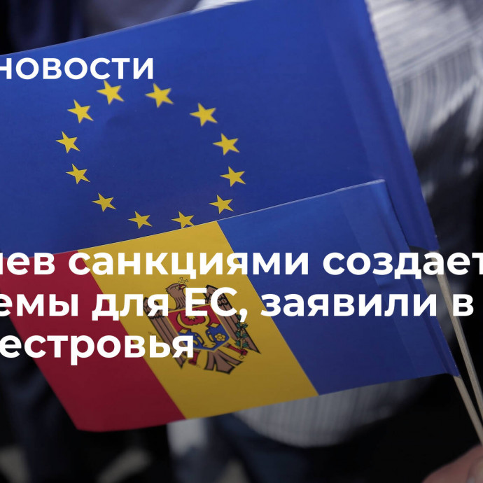 Кишинев санкциями создает проблемы для ЕС, заявили в МИД Приднестровья