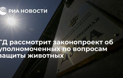 ГД рассмотрит законопроект об уполномоченных по вопросам защиты животных