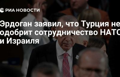 Эрдоган заявил, что Турция не одобрит сотрудничество НАТО и Израиля