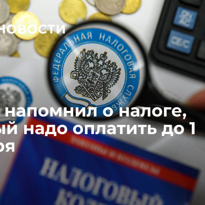 Юрист напомнил о налоге, который надо оплатить до 1 декабря