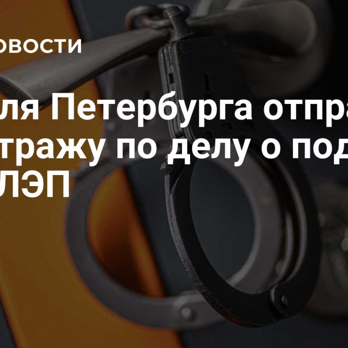 Жителя Петербурга отправили под стражу по делу о подрыве опор ЛЭП