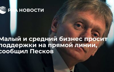 Малый и средний бизнес просит поддержки на прямой линии, сообщил Песков