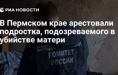 В Пермском крае арестовали подростка, подозреваемого в убийстве матери