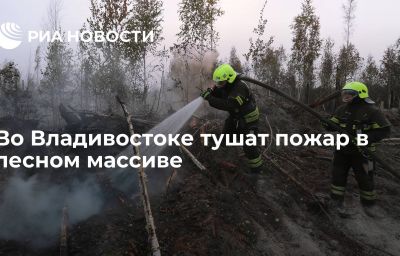 Во Владивостоке тушат пожар в лесном массиве