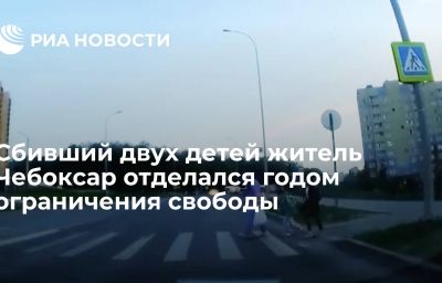 Сбивший двух детей житель Чебоксар отделался годом ограничения свободы