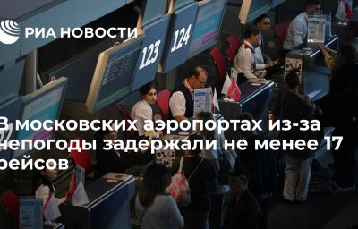 В московских аэропортах из-за непогоды задержали не менее 17 рейсов