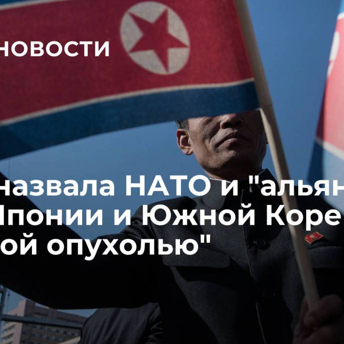 КНДР назвала НАТО и 