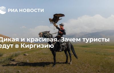 Дикая и красивая. Зачем туристы едут в Киргизию