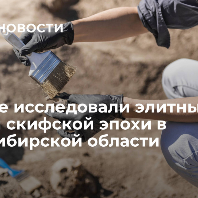 Ученые исследовали элитный курган скифской эпохи в Новосибирской области