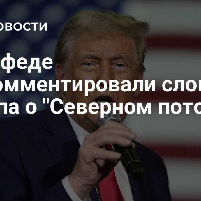 В Совфеде прокомментировали слова Трампа о 