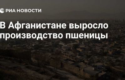 В Афганистане выросло производство пшеницы