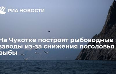 На Чукотке построят рыбоводные заводы из-за снижения поголовья рыбы