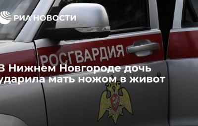 В Нижнем Новгороде дочь ударила мать ножом в живот