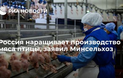 Россия наращивает производство мяса птицы, заявил Минсельхоз