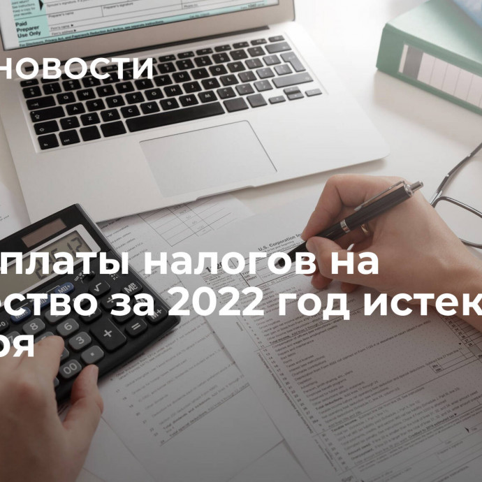 Срок уплаты налогов на имущество за 2022 год истекает 1 декабря