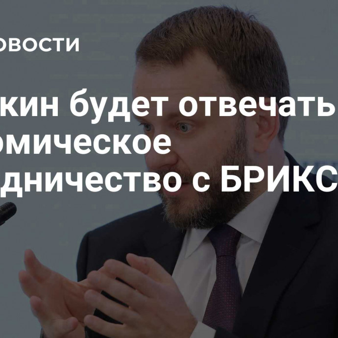 Орешкин будет отвечать за экономическое сотрудничество с БРИКС