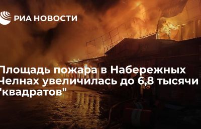 Площадь пожара в Набережных Челнах увеличилась до 6,8 тысячи "квадратов"