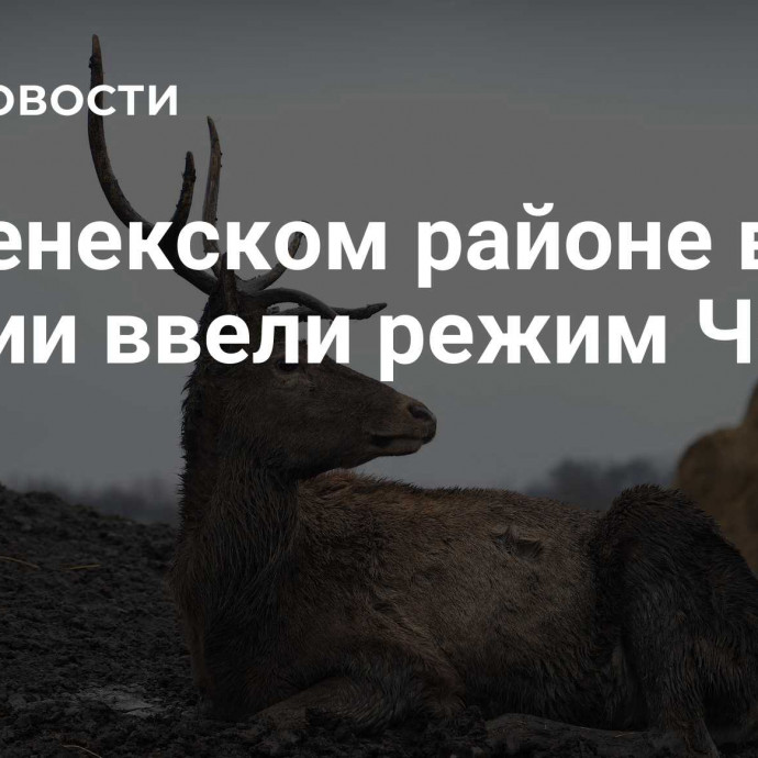 В Оленекском районе в Якутии ввели режим ЧС