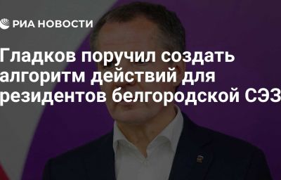 Гладков поручил создать алгоритм действий для резидентов белгородской СЭЗ