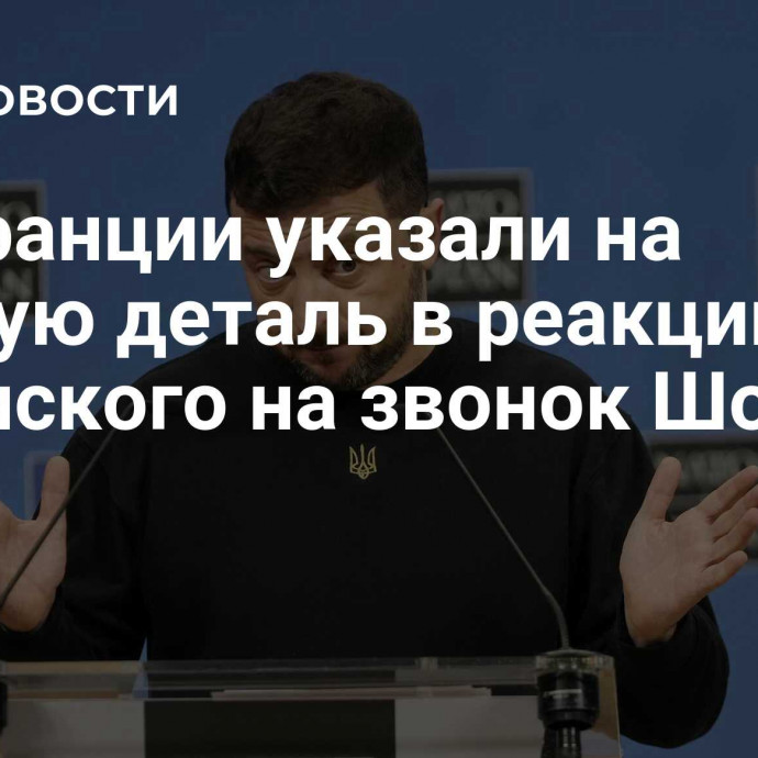 Во Франции указали на важную деталь в реакции Зеленского на звонок Шольца