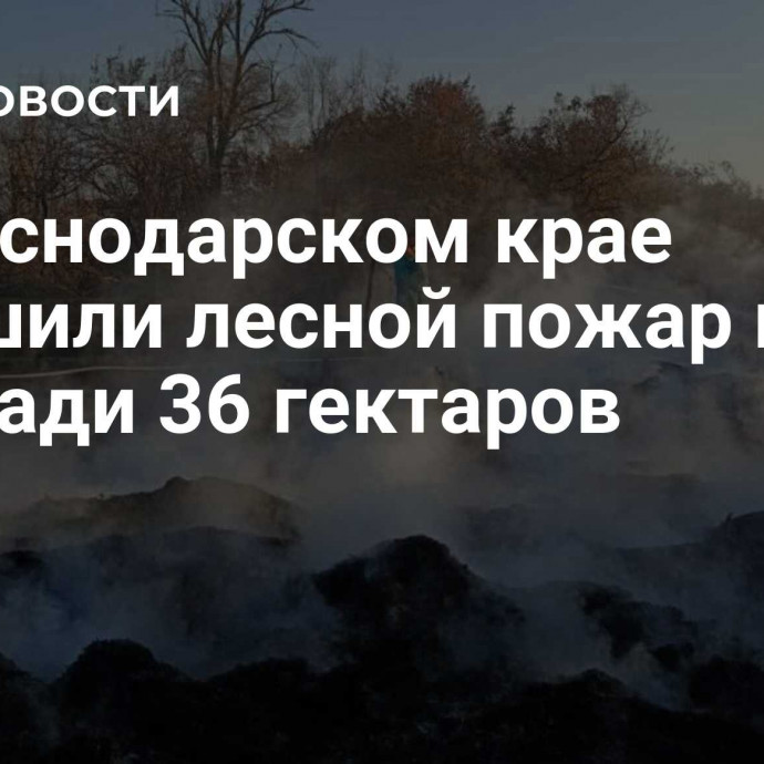 В Краснодарском крае потушили лесной пожар на площади 36 гектаров