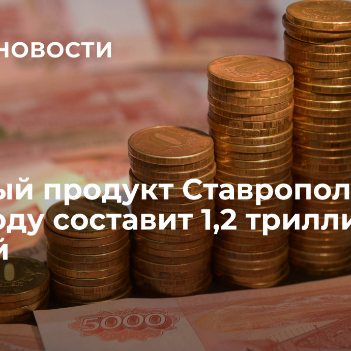 Валовый продукт Ставрополья в 2023 году составит 1,2 триллиона рублей