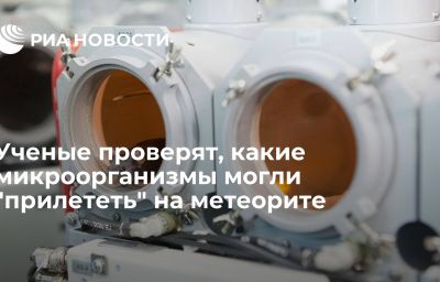 Ученые проверят, какие микроорганизмы могли "прилететь" на метеорите