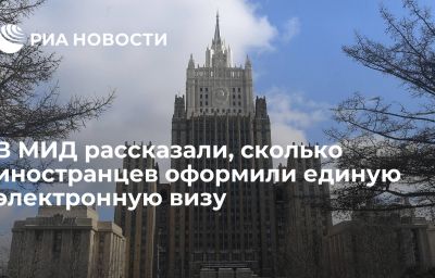 В МИД рассказали, сколько иностранцев оформили единую электронную визу