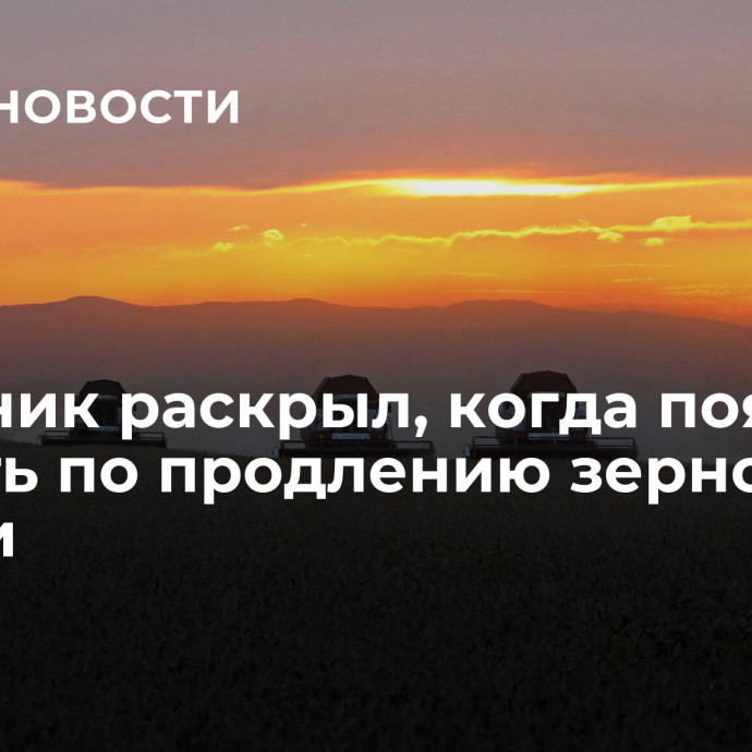 Источник раскрыл, когда появится ясность по продлению зерновой сделки