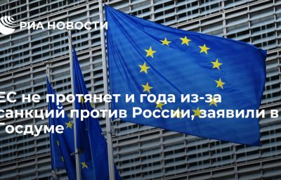 ЕС не протянет и года из-за санкций против России, заявили в Госдуме