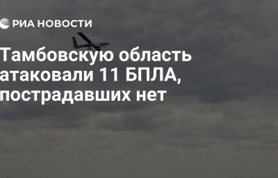 Тамбовскую область атаковали 11 БПЛА, пострадавших нет