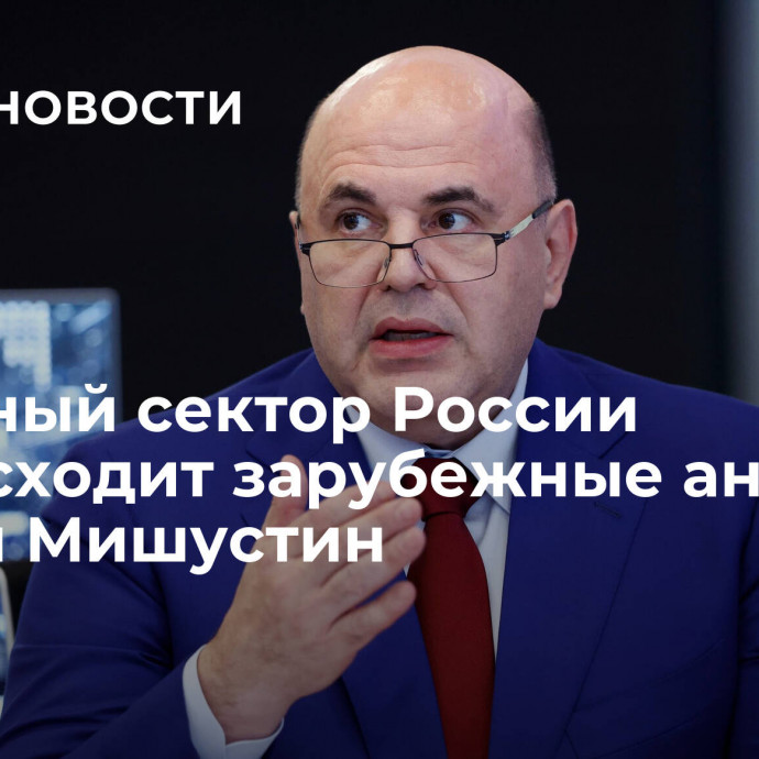 Аграрный сектор России превосходит зарубежные аналоги, заявил Мишустин