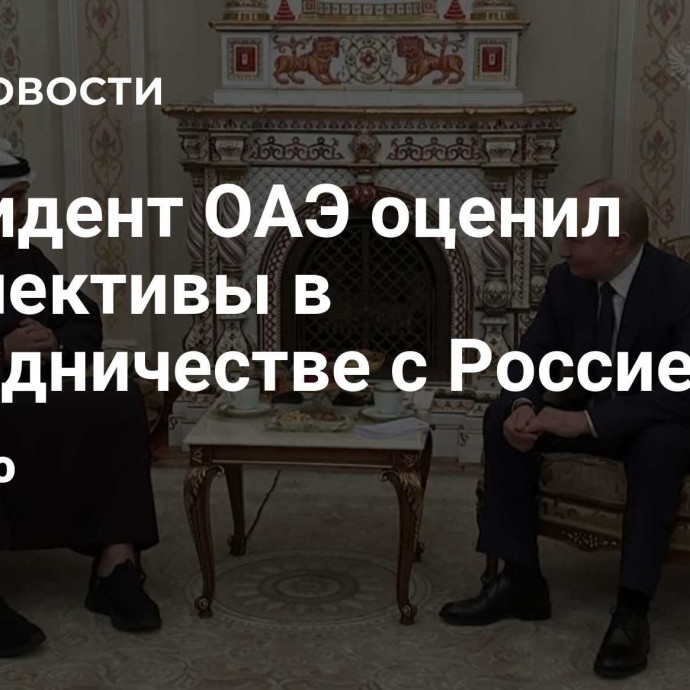 Президент ОАЭ оценил перспективы в сотрудничестве с Россией